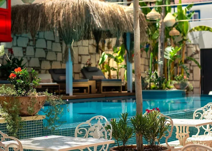 Tnr & 호텔 쿠사다시